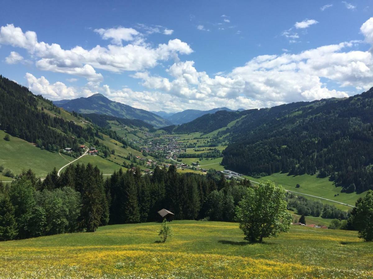 Appartamento Sonnenalp Bergruhe Niederau Esterno foto